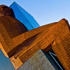 Muze per trupin e njeriut