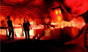 Muze se si funksionin goja