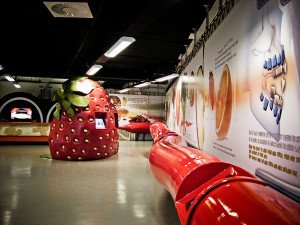 Muze se si funksionin trupi njeriut