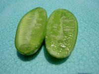 Smallest Watermelons 5