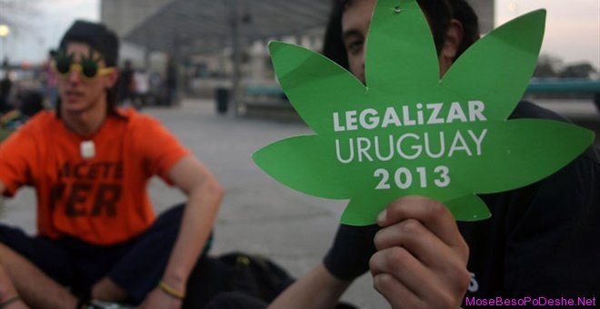 Uruguai: Projektligj per legalizimin e kanabisit